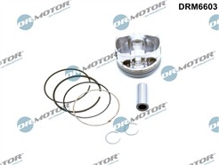 Dr.Motor Automotive DRM6603