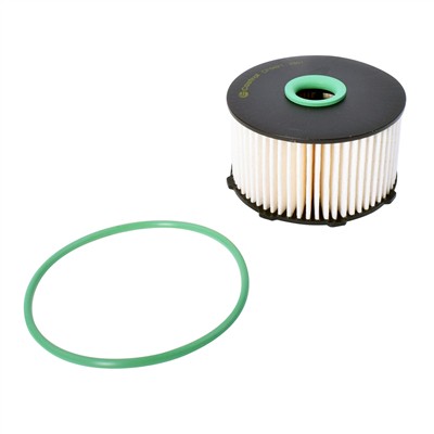 Castrol Filters CF0491