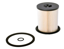 Castrol Filters CF0493