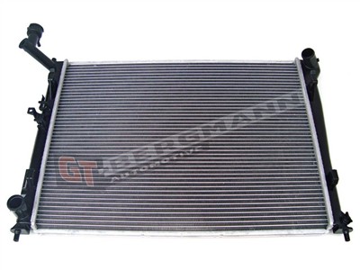 GT BERGMANN GT10-196