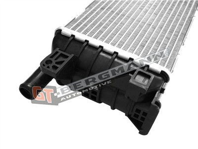 GT BERGMANN GT12-031 EAN: 5907764523200.