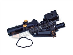 GT BERGMANN GT17-019