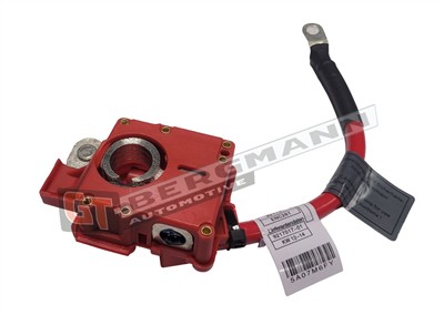 GT BERGMANN GT40-010