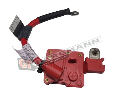 GT BERGMANN GT40-010