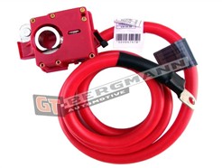 GT BERGMANN GT40-016