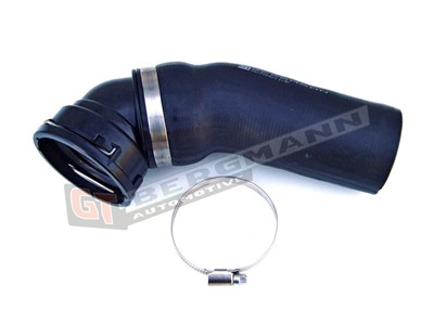 GT BERGMANN GT52-036 EAN: 5907764500669.