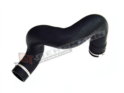 GT BERGMANN GT52-098 EAN: 5907764510385.