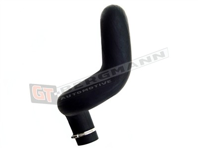 GT BERGMANN GT52-098 EAN: 5907764510385.