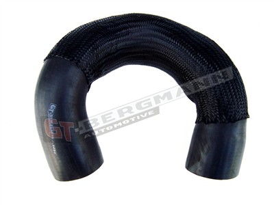 GT BERGMANN GT52-102 EAN: 5907764510439.