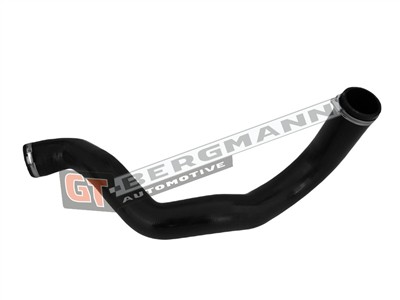 GT BERGMANN GT52-163 EAN: 5907764514079.