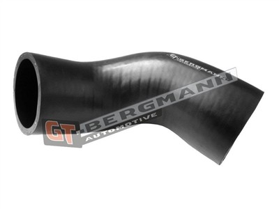 GT BERGMANN GT52-224 EAN: 5907764516479.