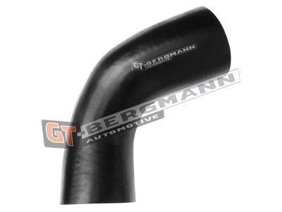 GT BERGMANN GT52-224 EAN: 5907764516479.