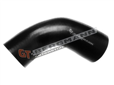 GT BERGMANN GT52-224 EAN: 5907764516479.