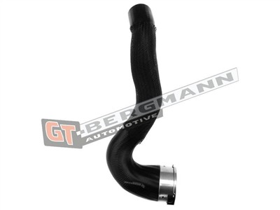 GT BERGMANN GT52-240 EAN: 5907764517292.