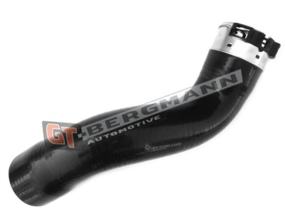 GT BERGMANN GT52-242 EAN: 5907764517445.