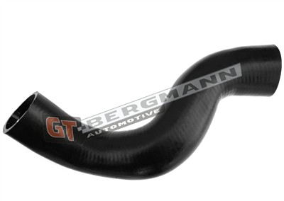 GT BERGMANN GT52-305 EAN: 5907764518589.