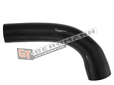 GT BERGMANN GT52-311 EAN: 5907764518640.