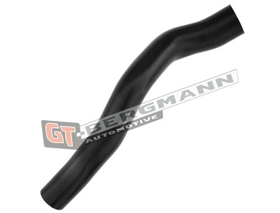 GT BERGMANN GT52-313 EAN: 5907764518664.
