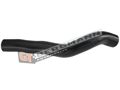 GT BERGMANN GT52-313 EAN: 5907764518664.