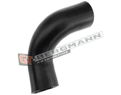 GT BERGMANN GT52-320 EAN: 5907764518732.