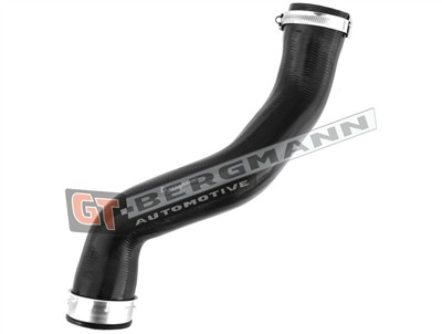 GT BERGMANN GT52-323 EAN: 5907764519159.