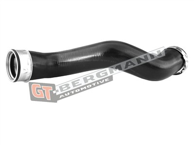 GT BERGMANN GT52-323 EAN: 5907764519159.