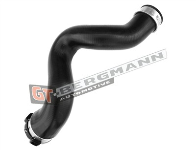 GT BERGMANN GT52-329 EAN: 5907764519210.