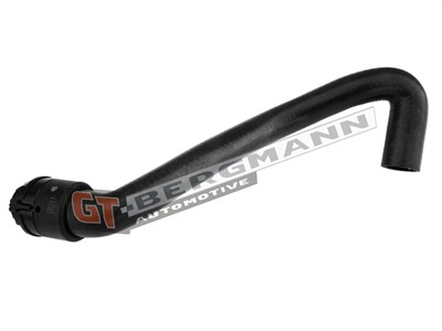 GT BERGMANN GT52-359 EAN: 5907764519593.