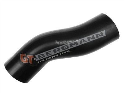 GT BERGMANN GT52-424 EAN: 5907764510378.