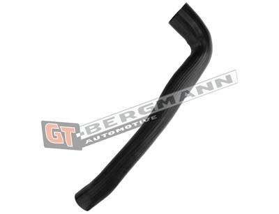 GT BERGMANN GT52-438 EAN: 5907764523804.
