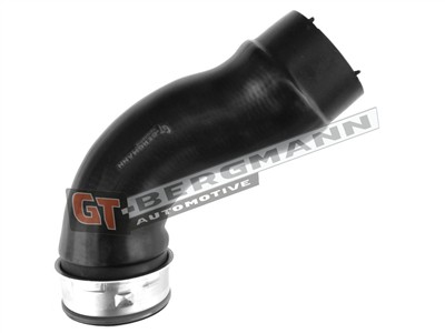 GT BERGMANN GT52-491 EAN: 5907764524542.