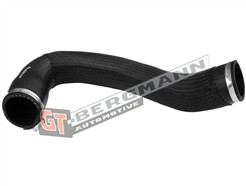 GT BERGMANN GT52-540