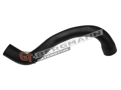 GT BERGMANN GT52-566 EAN: 5907764525518.