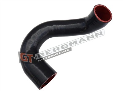 GT BERGMANN GT52-570 EAN: 5907764525556.