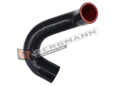GT BERGMANN GT52-570 EAN: 5907764525556.