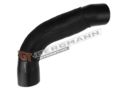 GT BERGMANN GT52-610 EAN: 5907764526539.