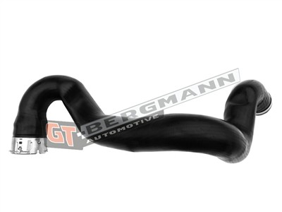 GT BERGMANN GT52-643 EAN: 5907764526874.