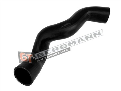 GT BERGMANN GT52-659 EAN: 5907764528083.