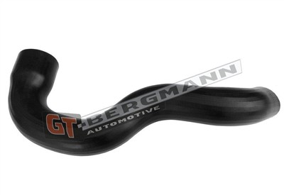 GT BERGMANN GT52-661