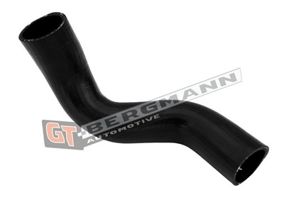 GT BERGMANN GT52-672