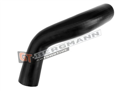 GT BERGMANN GT52-679