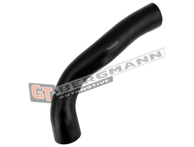 GT BERGMANN GT52-695 EAN: 5907764528441.