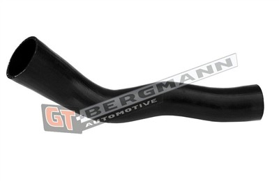 GT BERGMANN GT52-695 EAN: 5907764528441.