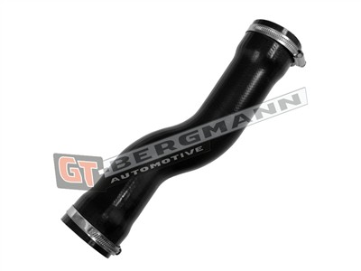 GT BERGMANN GT52-790 EAN: 5907764531229.