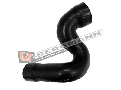 GT BERGMANN GT52-801 EAN: 5907764531335.