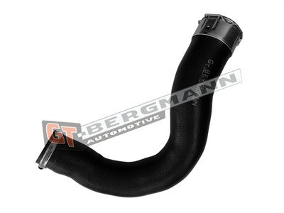 GT BERGMANN GT52-849