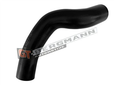 GT BERGMANN GT52-878