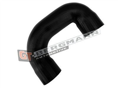 GT BERGMANN GT52-885