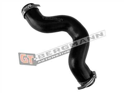GT BERGMANN GT52-886