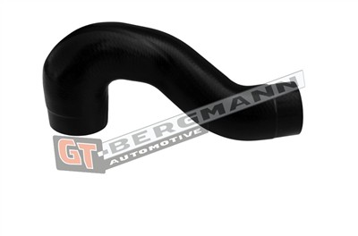 GT BERGMANN GT52-890
